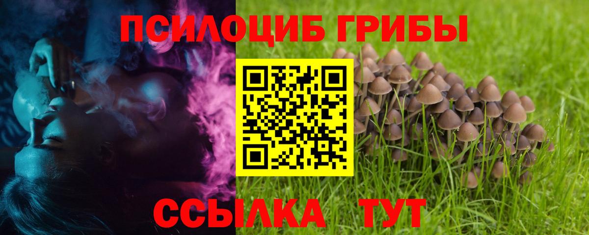 Псилоцибиновые грибы GOLDEN TEACHER Щёлково